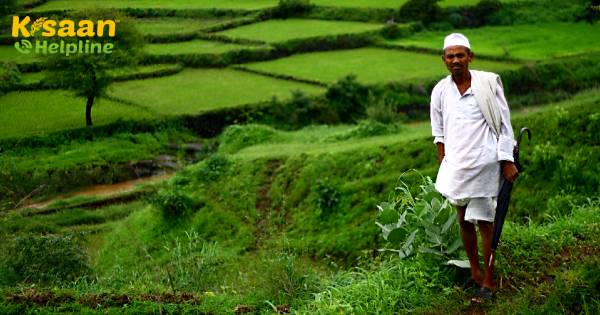 आंध्र प्रदेश ने आर्थिक सुधार के लिए किसानों के ऋण को प्रोत्साहित किया